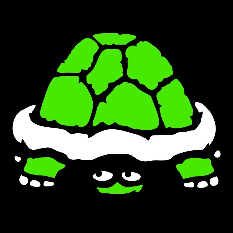 tortue cachée timide sourire drôle
