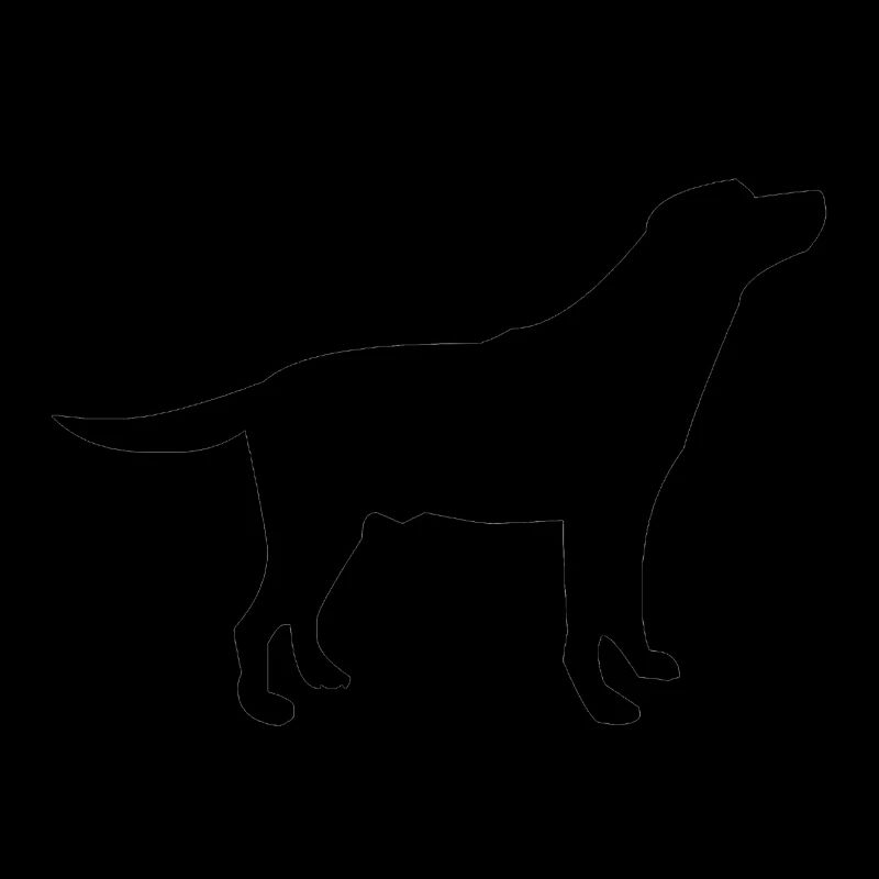 Hund Nr.2
