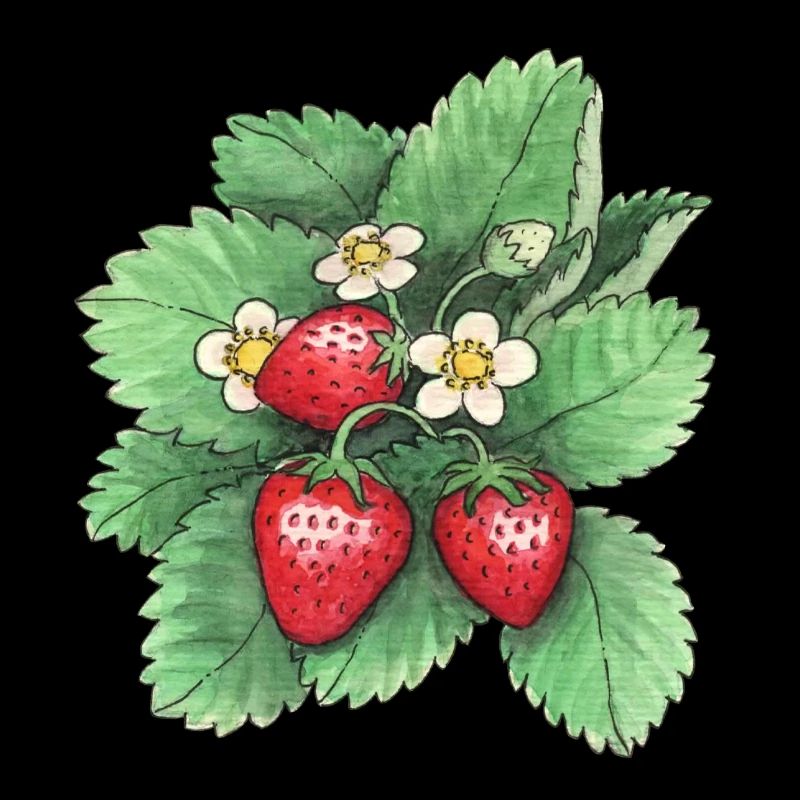 Strawberries