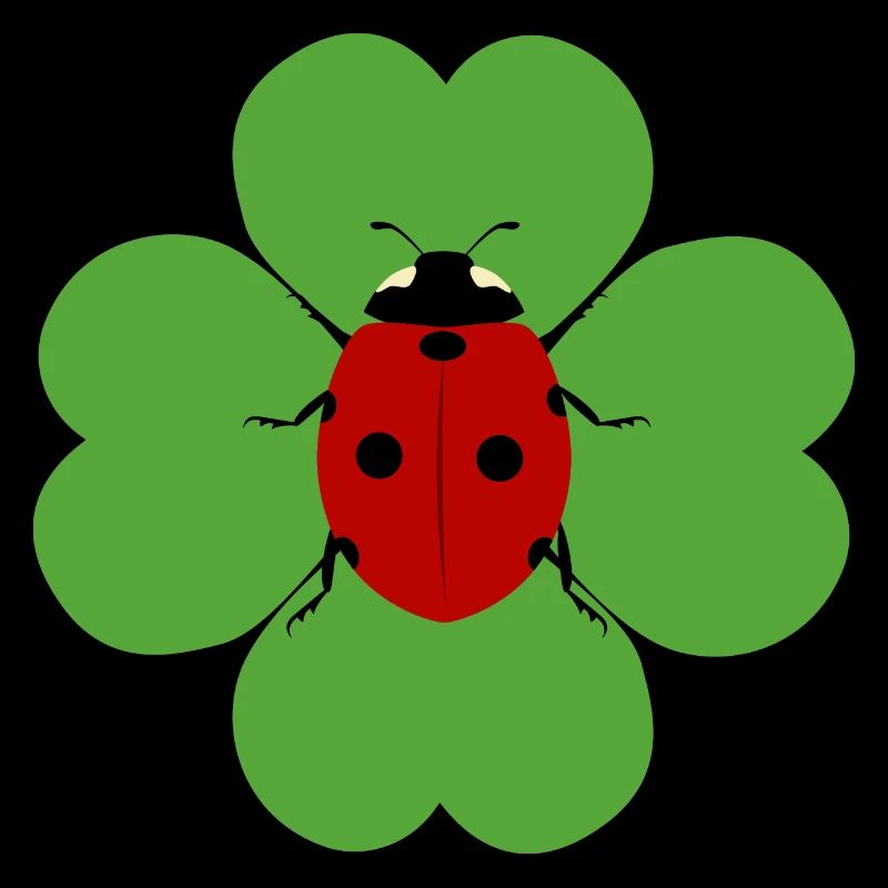Kleeblatt Marienkäfer