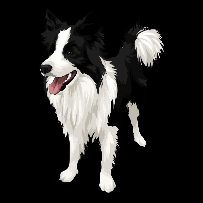 Limitée! Border Collie Amour