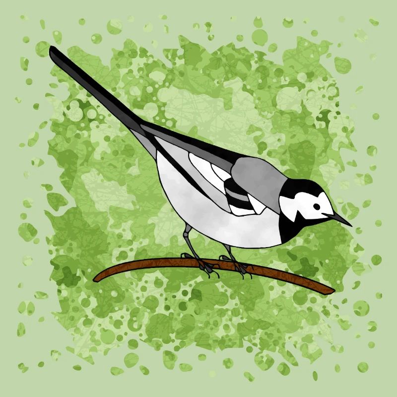 Wagtail bird