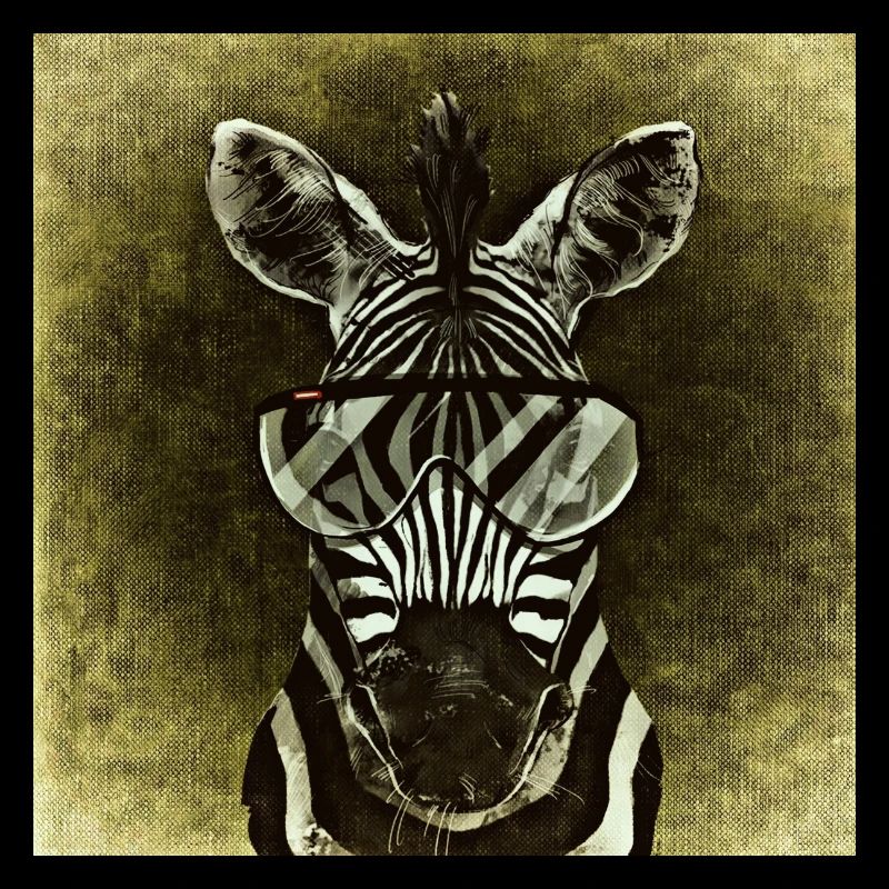 Zebra