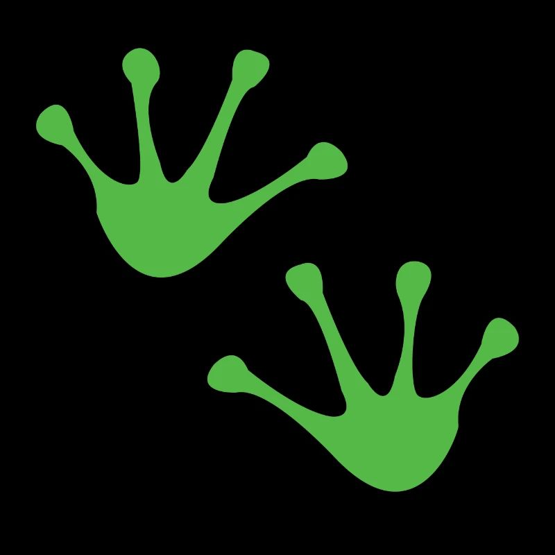 Frog tree frog toad