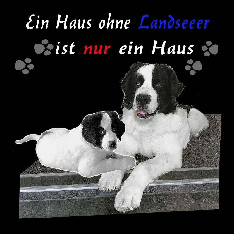 Hund-Landseer-Geschenkidee