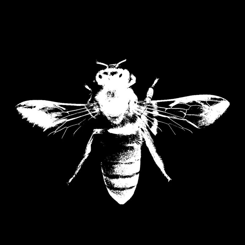 Die Honig Biene - Honigbiene
