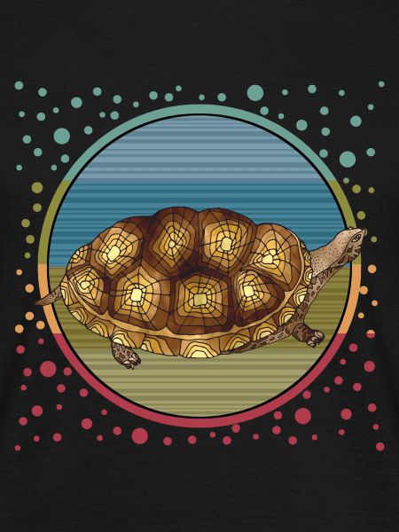 Tortoise