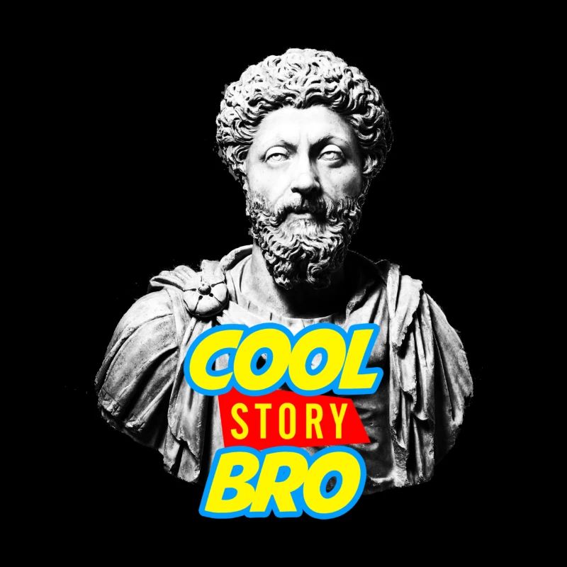 Marcus Aurelius: "Cool Story Bro" 2