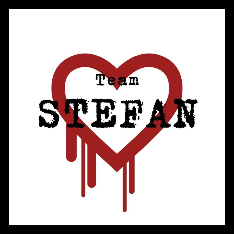 L’équipe STEFAN