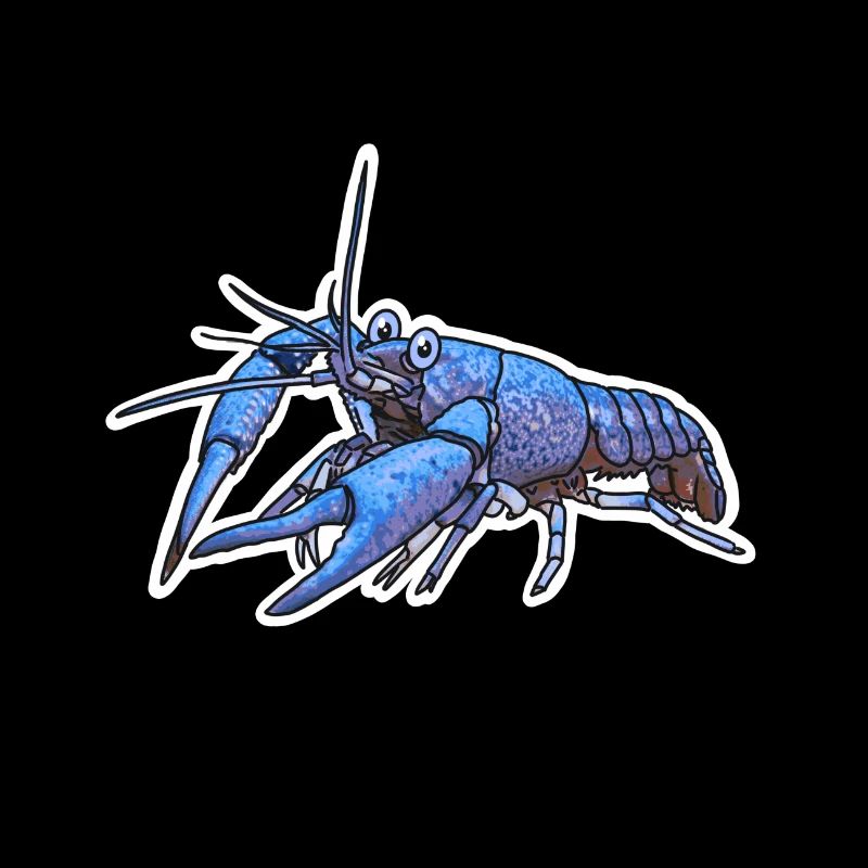 écrevisse bleue (Procambarus alleni)
