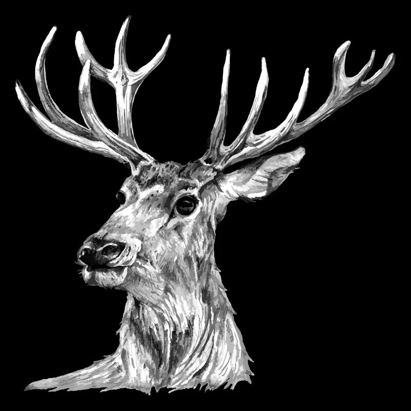 Cerf