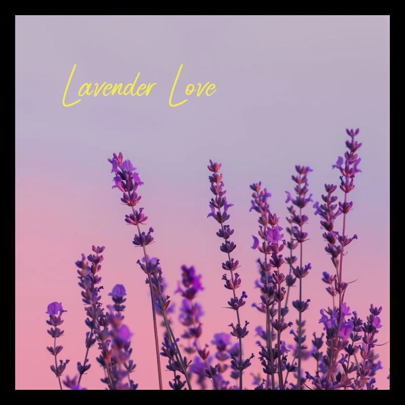 Lavender Love
