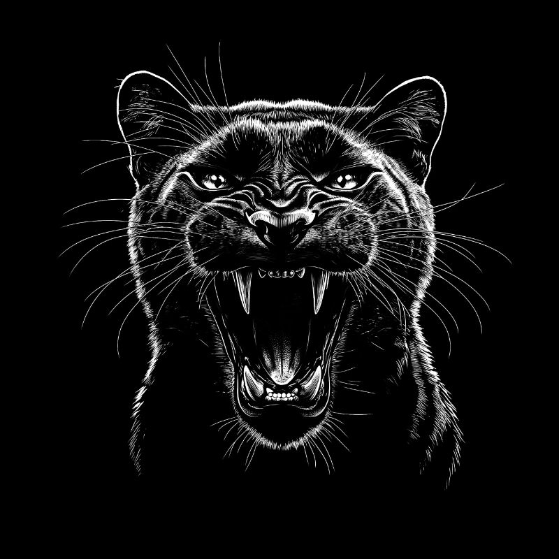 Panthère noire