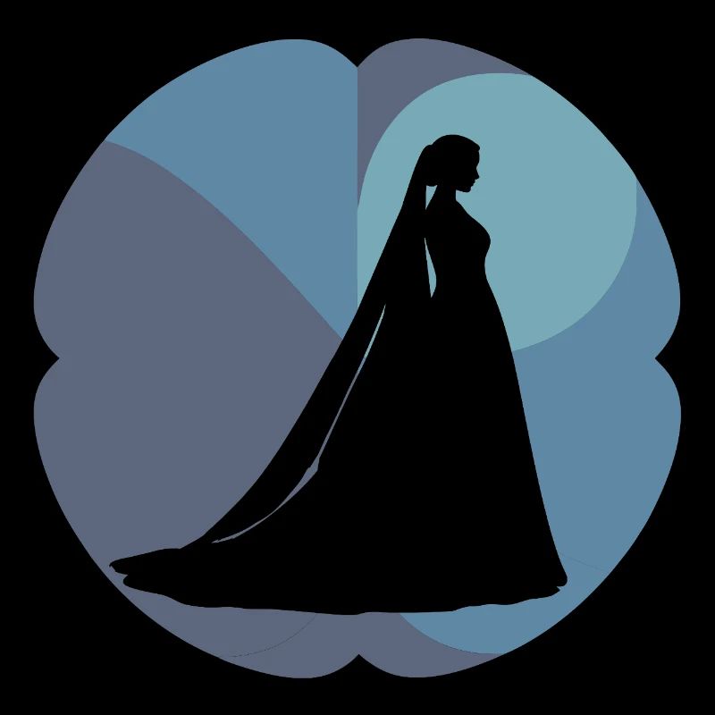 Robe de mariée Wedding Planification de mariage