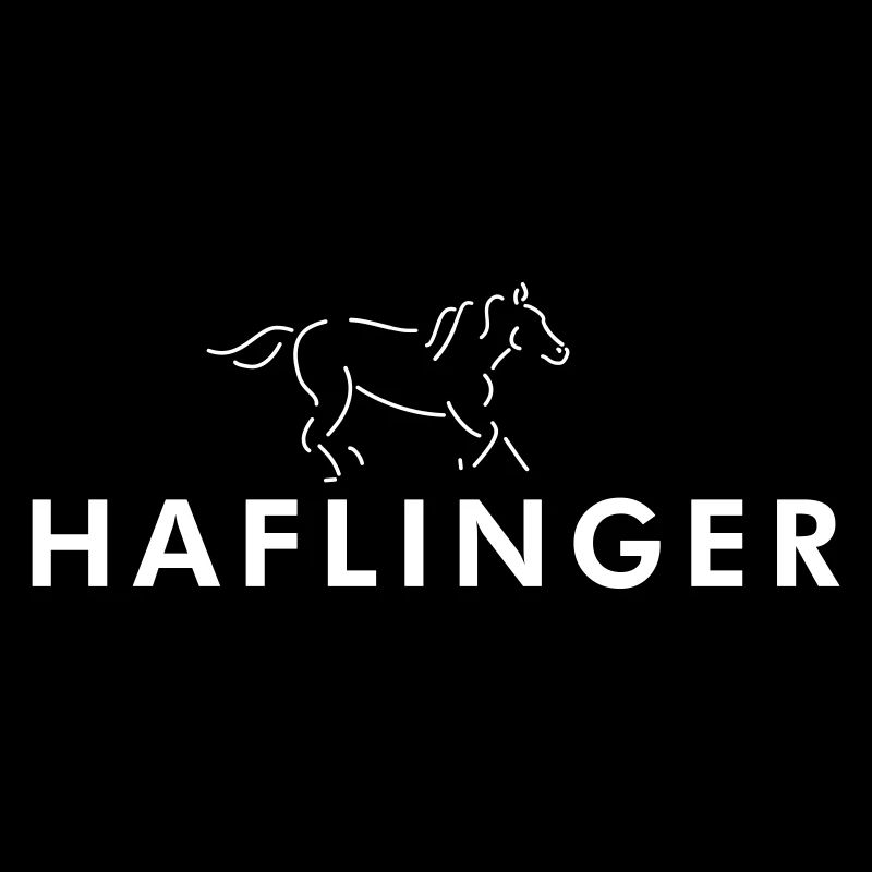 Haflinger Pferd Austro-Araber