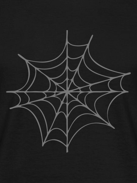 Spinnennetz