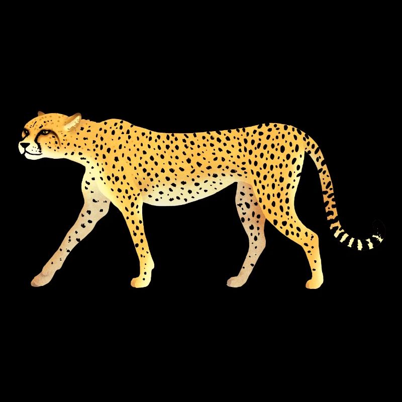 Guépard / Cheetah 01