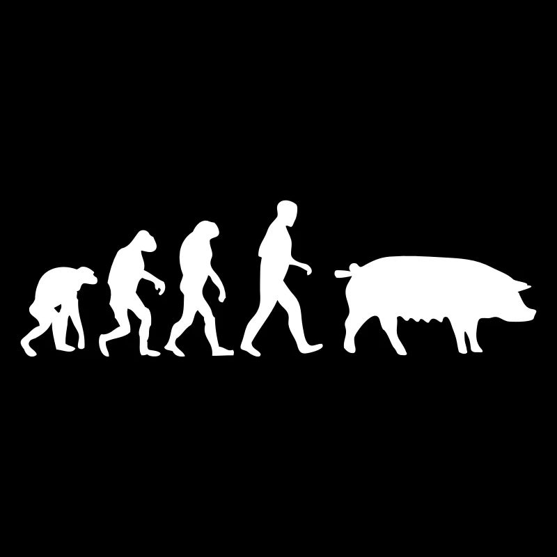 schwein evolution