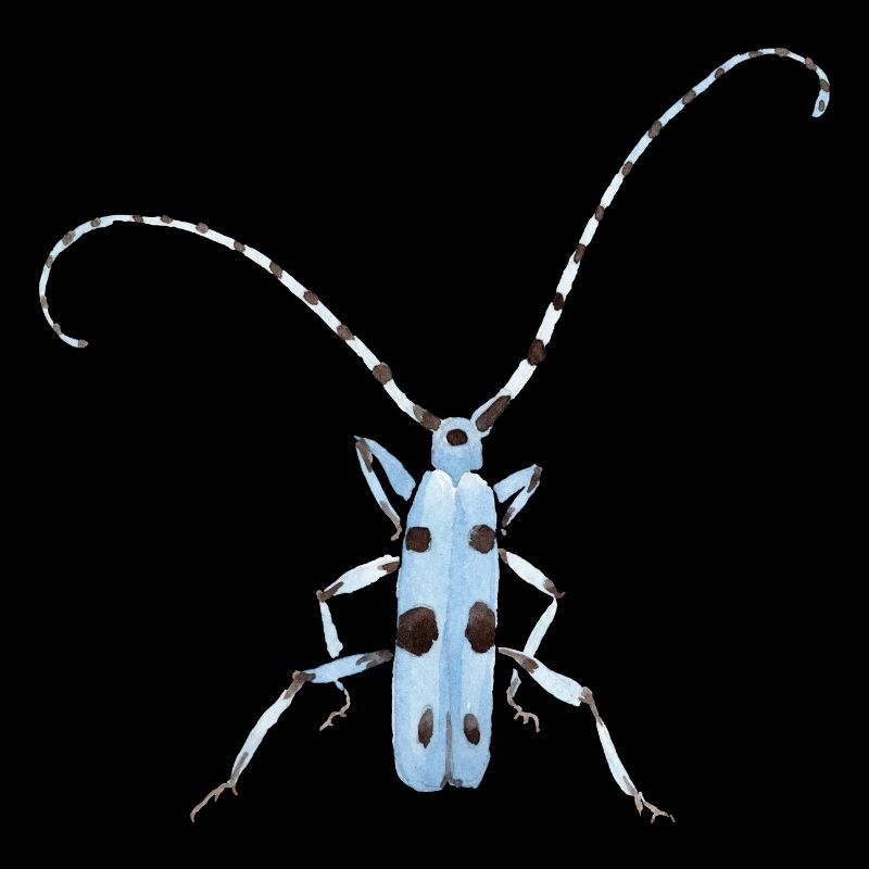 Blue insect with dots gift feeler