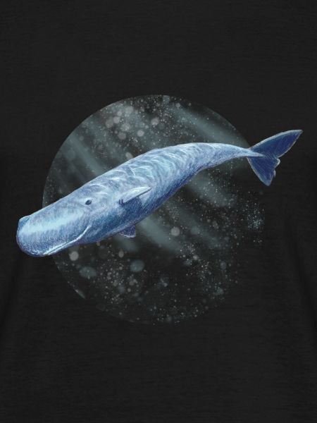 sperm whale1