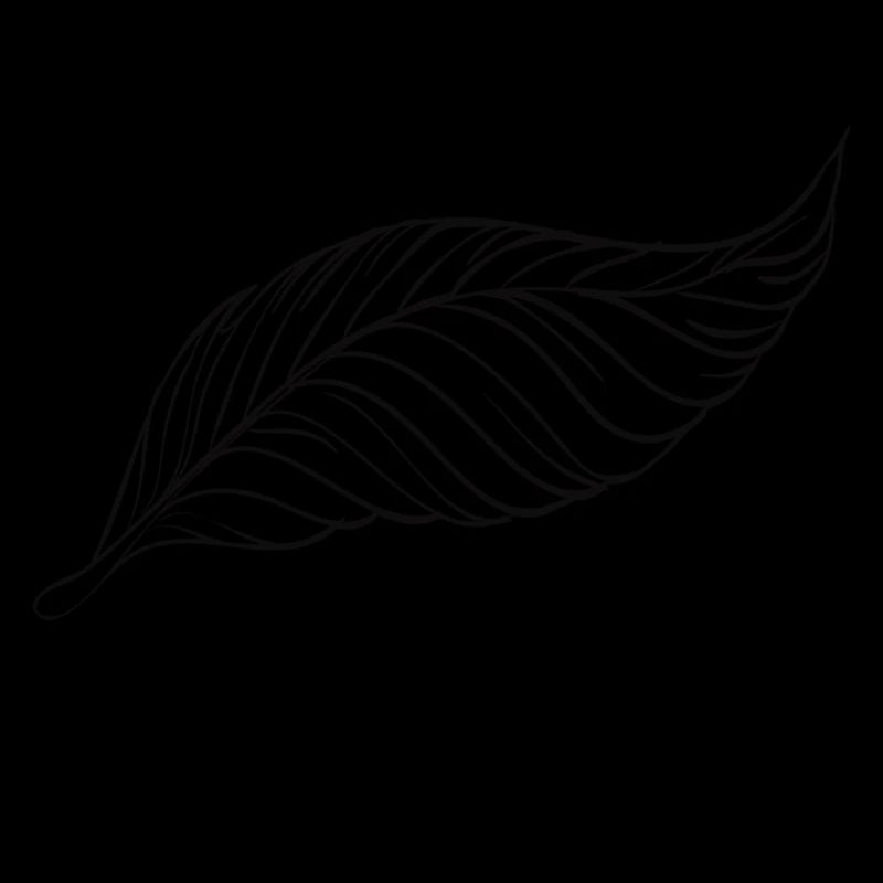 ALL BLACKS