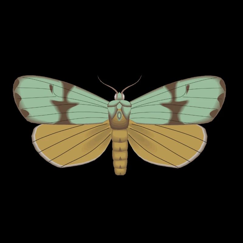Butterfly 115