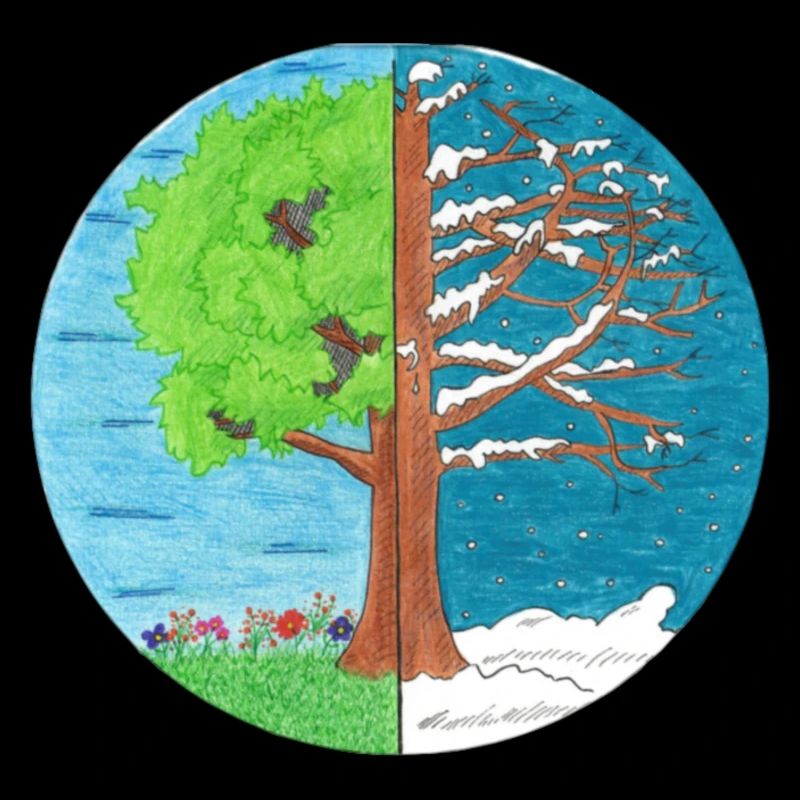 Summer and Winter