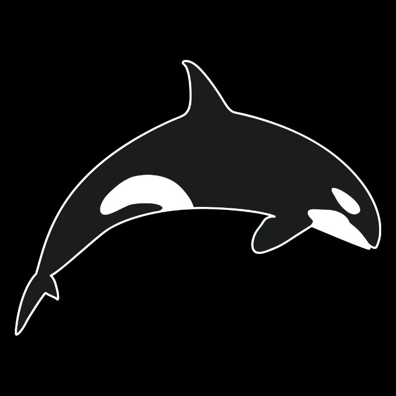 Schwertwal Orca Killerwal