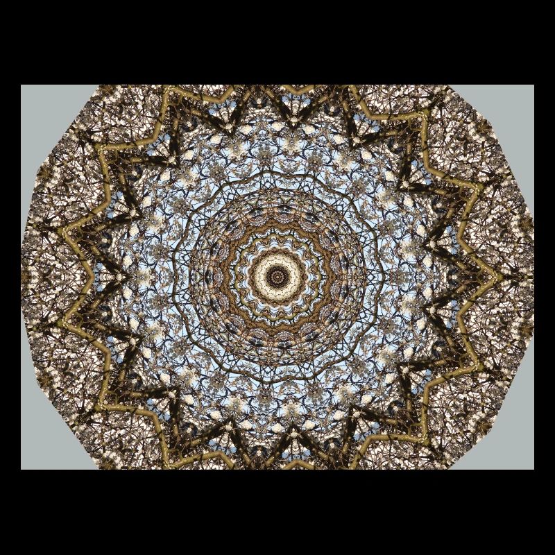 Bluehender Baum kaleidoskop effekt