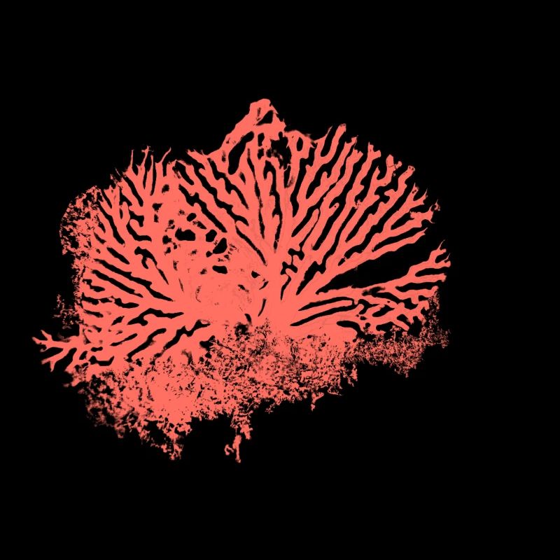 motif corail