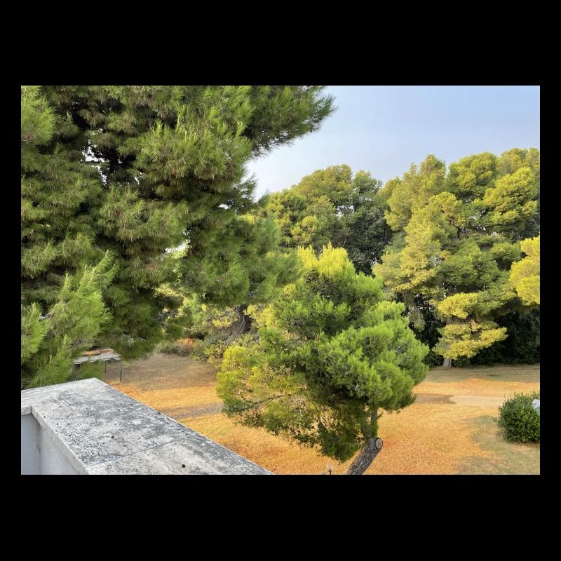 IMG 9514