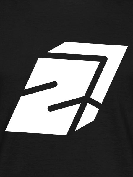 Abstract Z-Brief