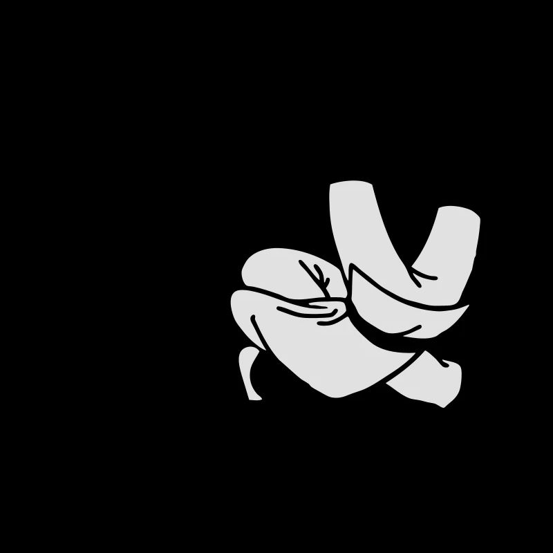 judo