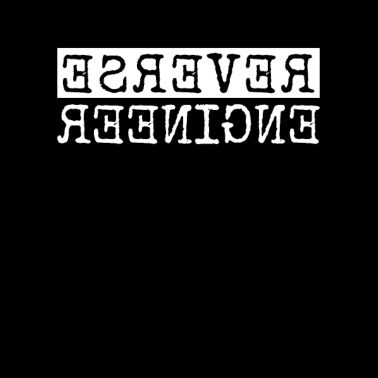 Sviluppatore Reverse Engineer Software Engineer