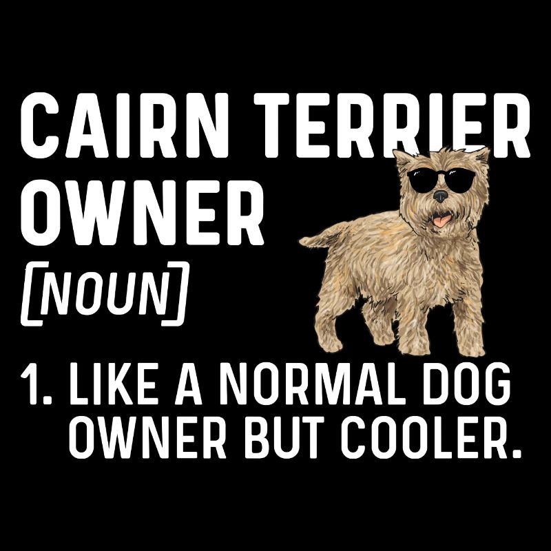 Cairn Terrier Chien