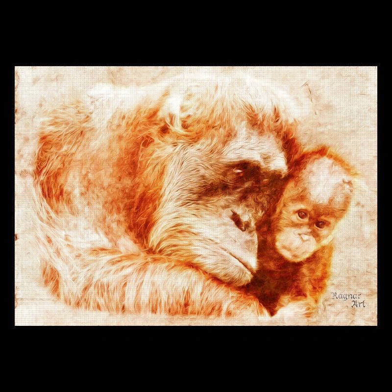 zoo S