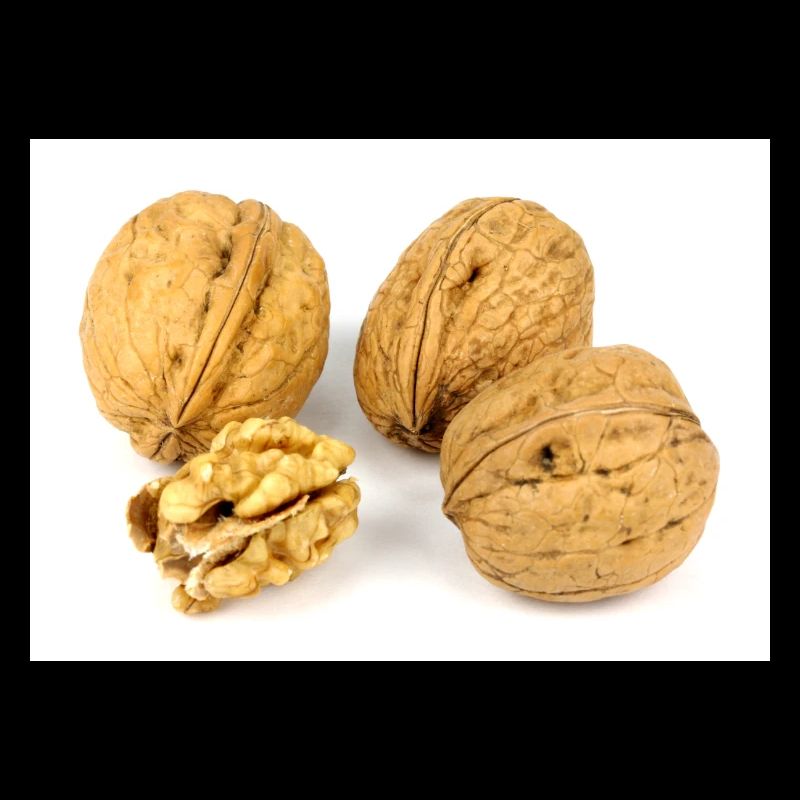 Nüsse. walnut and a cracked walnut