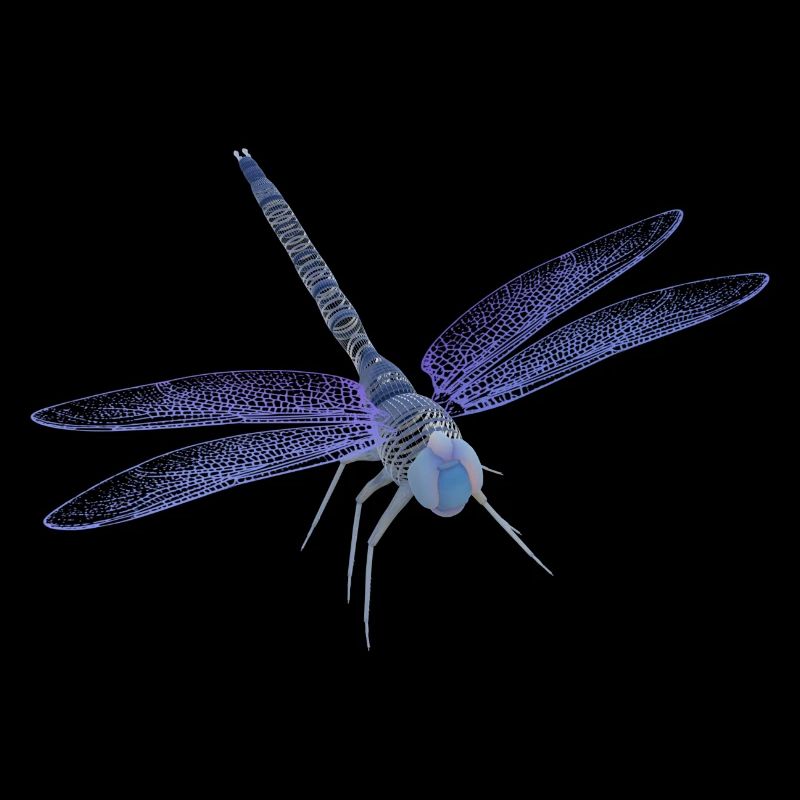 Dragonfly