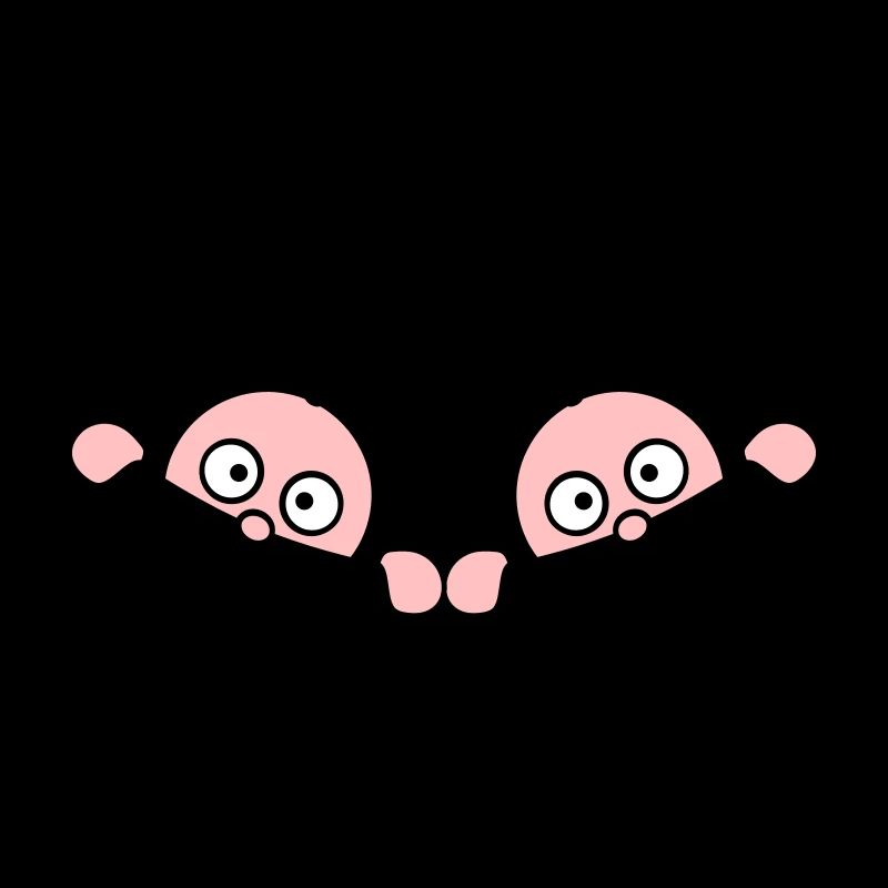 Twins Inside Zwillinge 2 Babys Schwanger Bauch