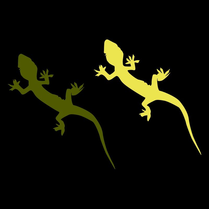 Gecko 2