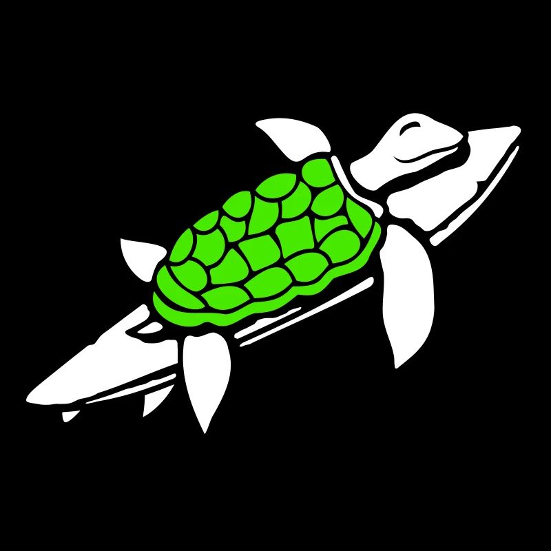 Water Turtle Surfboard Surfer Fun Surfing