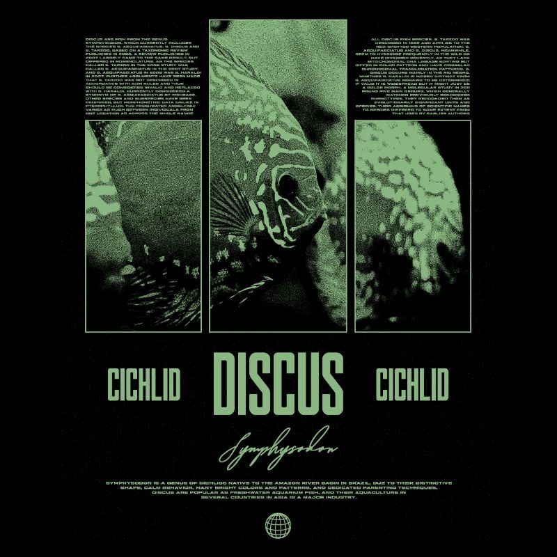 Discus Cichlidé Aquarium Fish Keeper