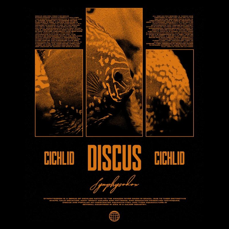 Discus Cichlidé Aquarium Fish Keeper