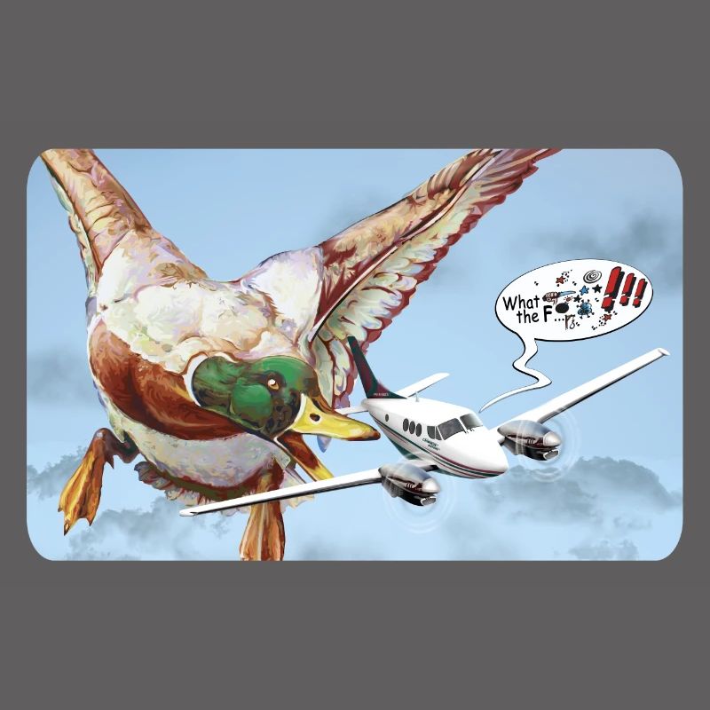 Duck Attack (version with speech bubble)