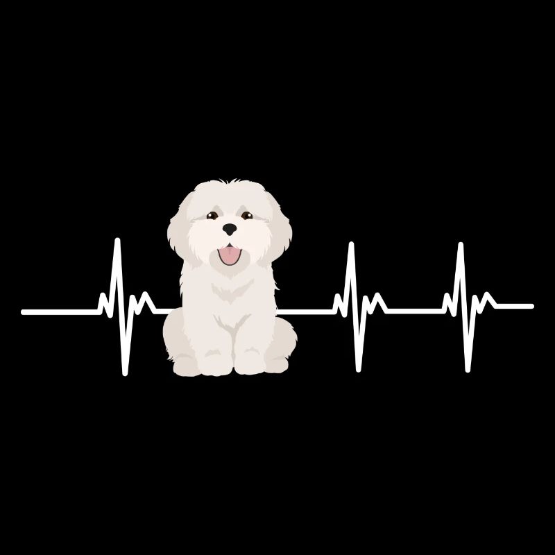 Coton de tulear heartbeat