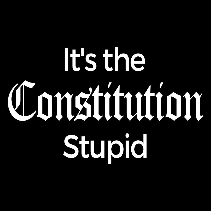 It's The Constitution Stupid - Fun Gift