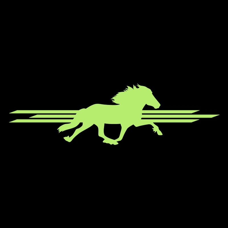 Cheval d’Islande - Flying Pace - Pass de course