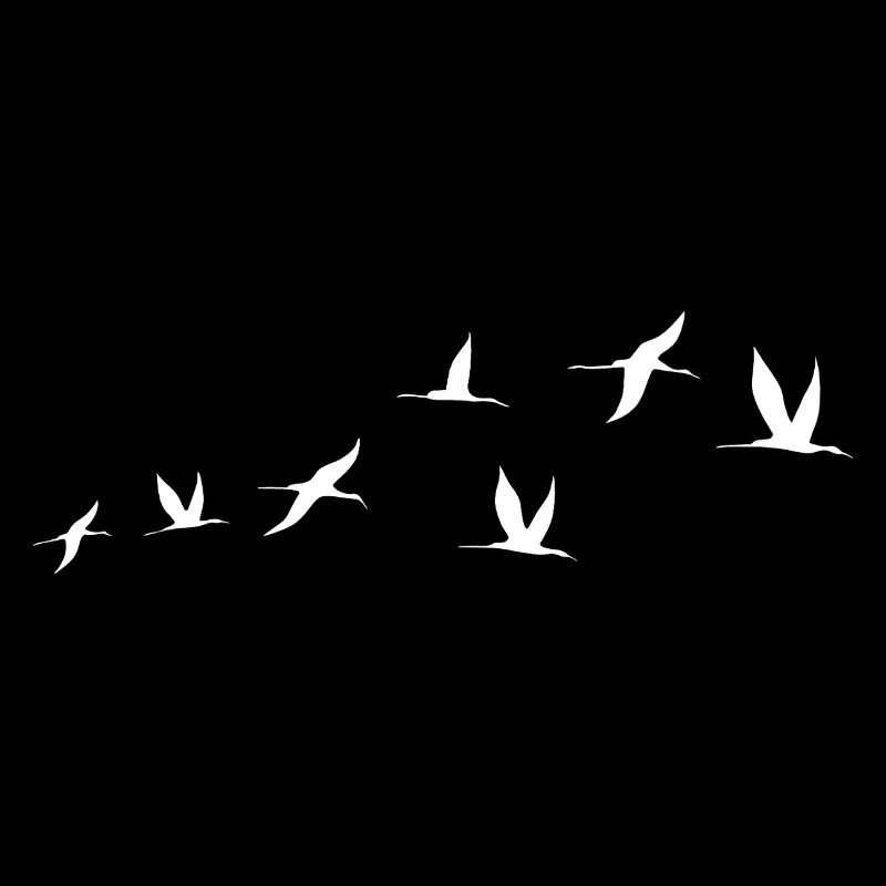 Oiseaux migrateurs Oiseau volant vers le sud Hiver
