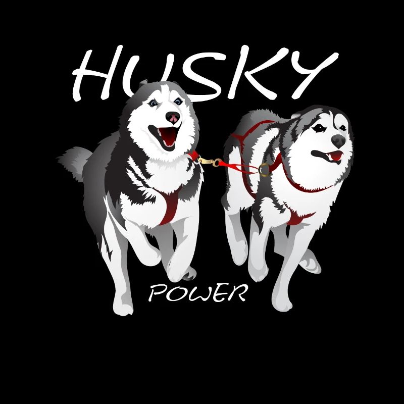 Husky Power, chien