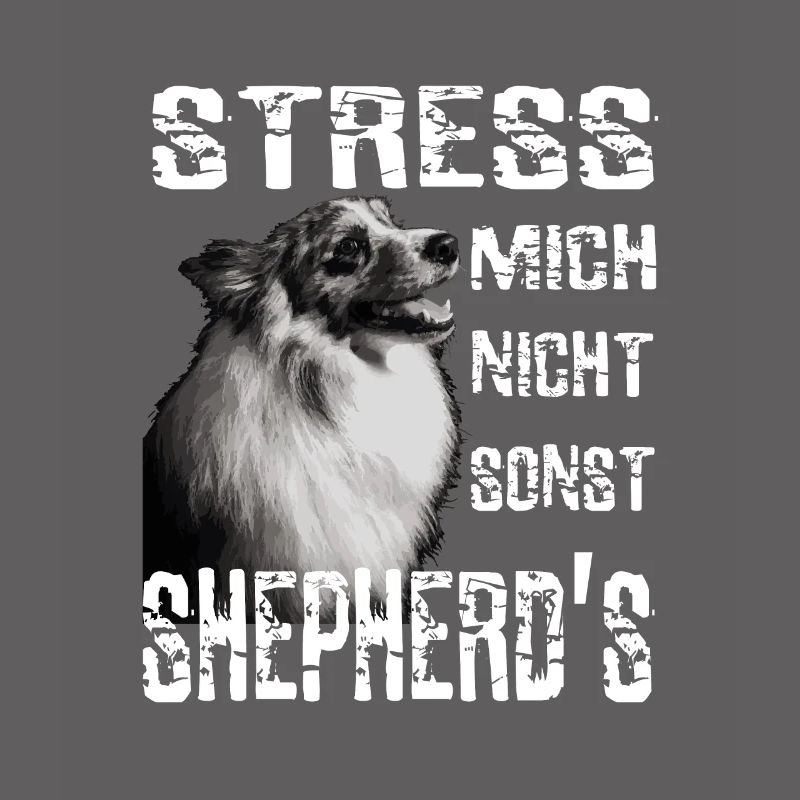 Do not stress me otherwise Sheperds Aussie Sheperd